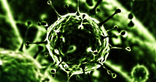 Вирусы и вирусные инфекции